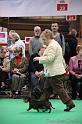 Crufts2011_2 1375